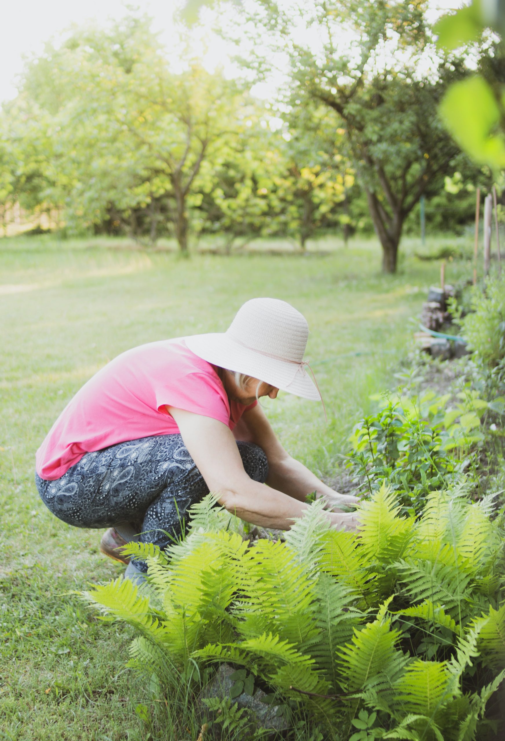 Comment prendre soin de son jardin ?