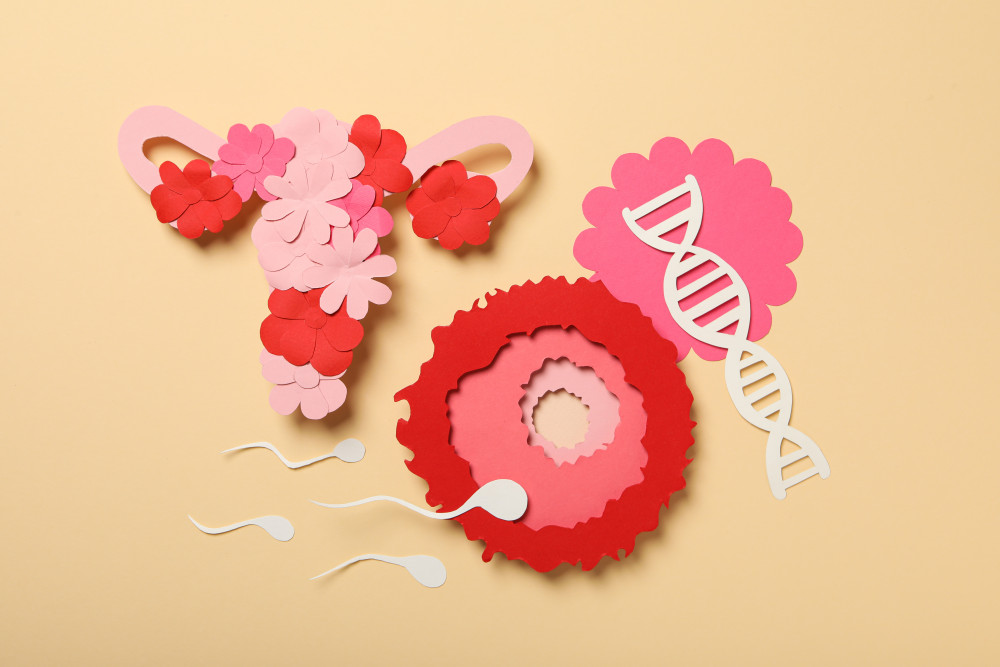 Connaître sa date d'ovulation malgré un cycle irrégulier : comment s'y retrouver ?