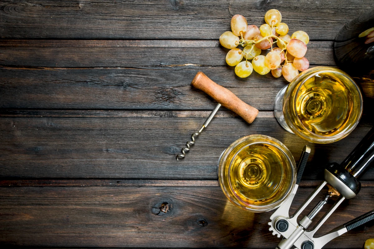 Cours d'œnologie : explorer le monde du vin, de la vigne au verre