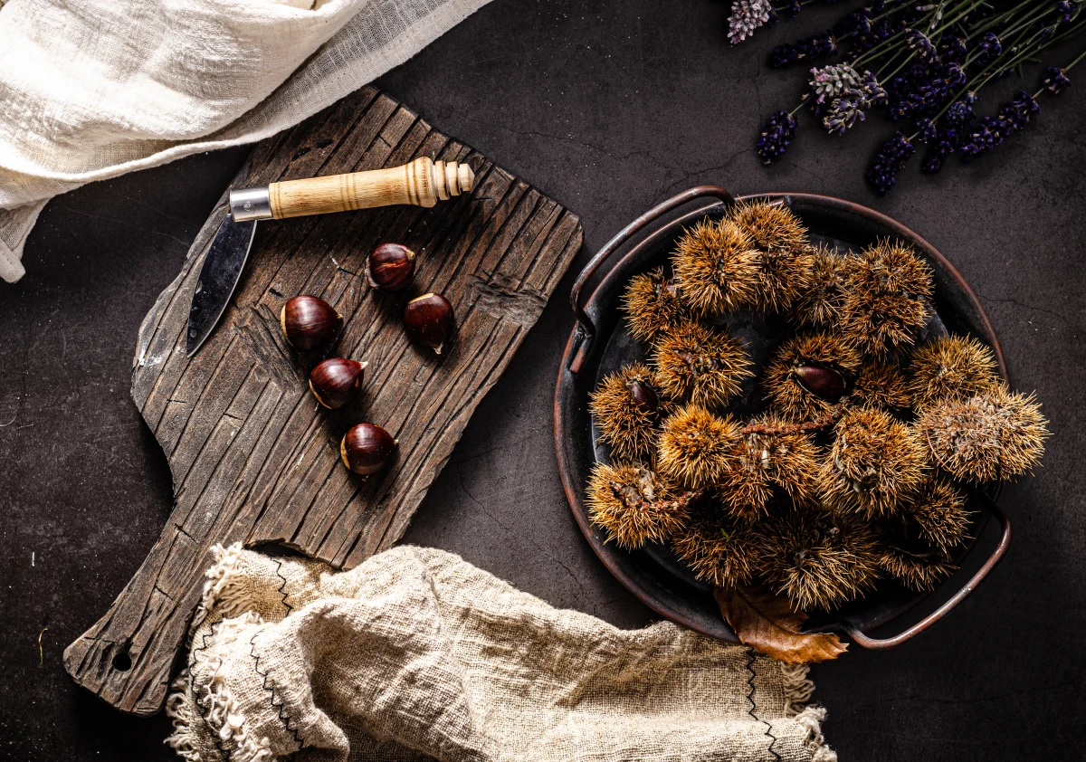 Techniques avancées pour sublimer la photographie culinaire